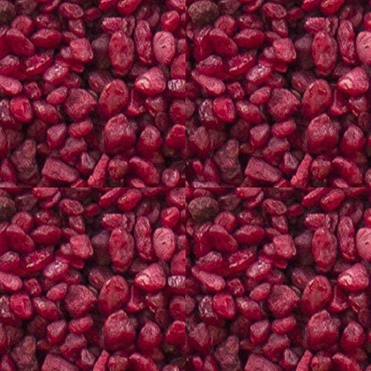 V2HCCAF0DB9776887EED75FB736738F2ADER7244841P1