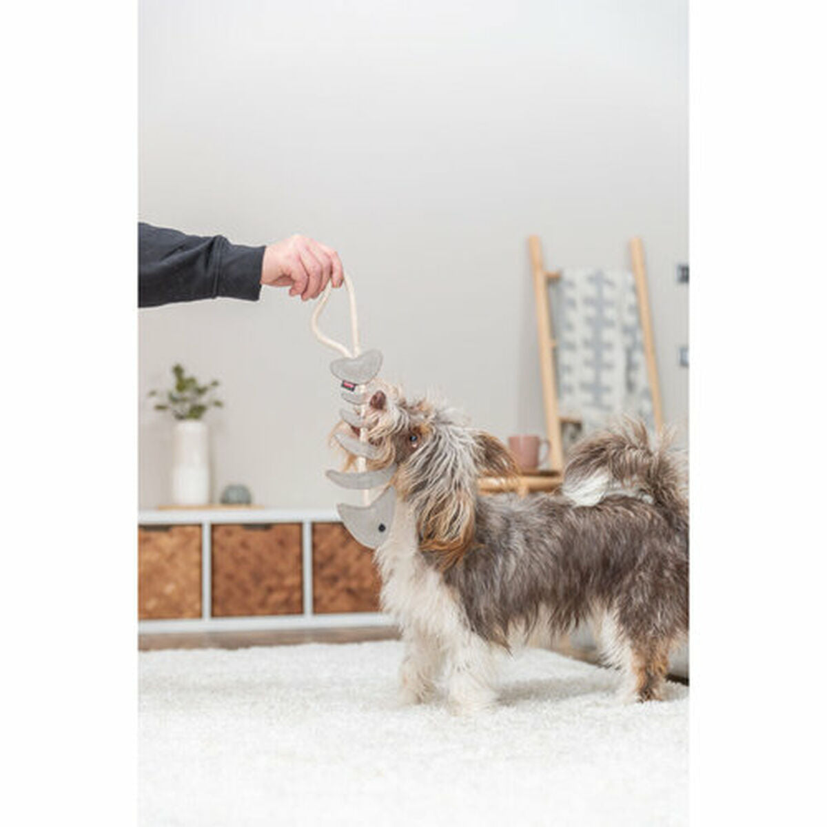 V2H1FB5C255A304101B9C97D3A72923CD75R7213901P8