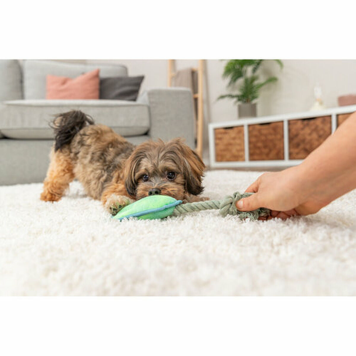 V1HFE481D235A03A1180C817CF99DCDE5F5RP6