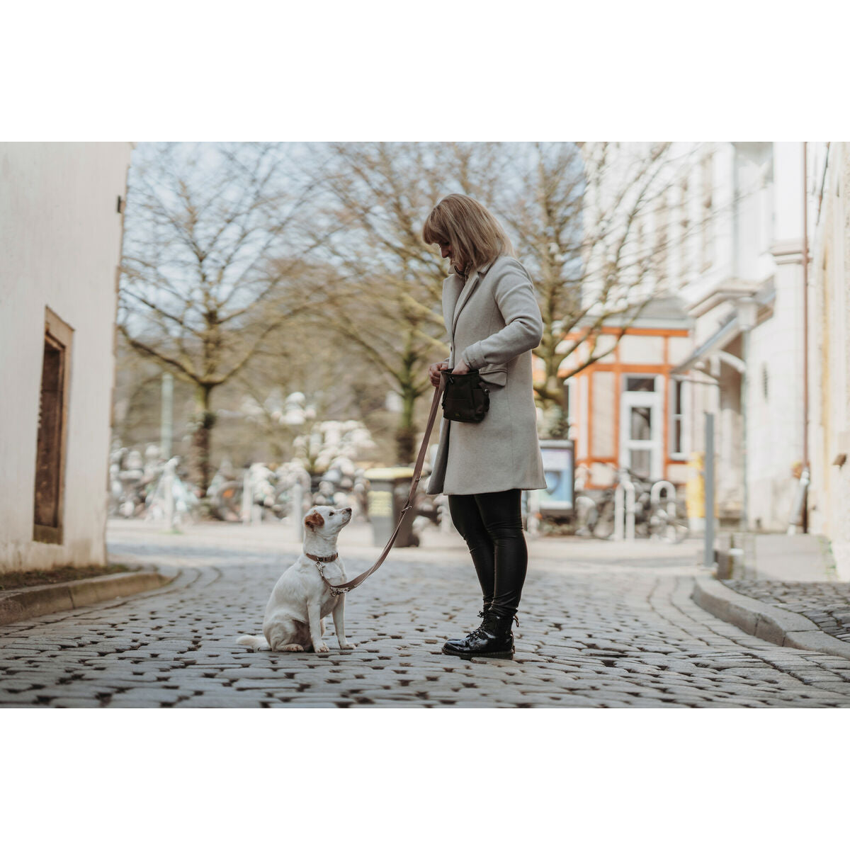 Dog collar Hunter Inari Beige XL 45-65 cm - Hilman kauppa