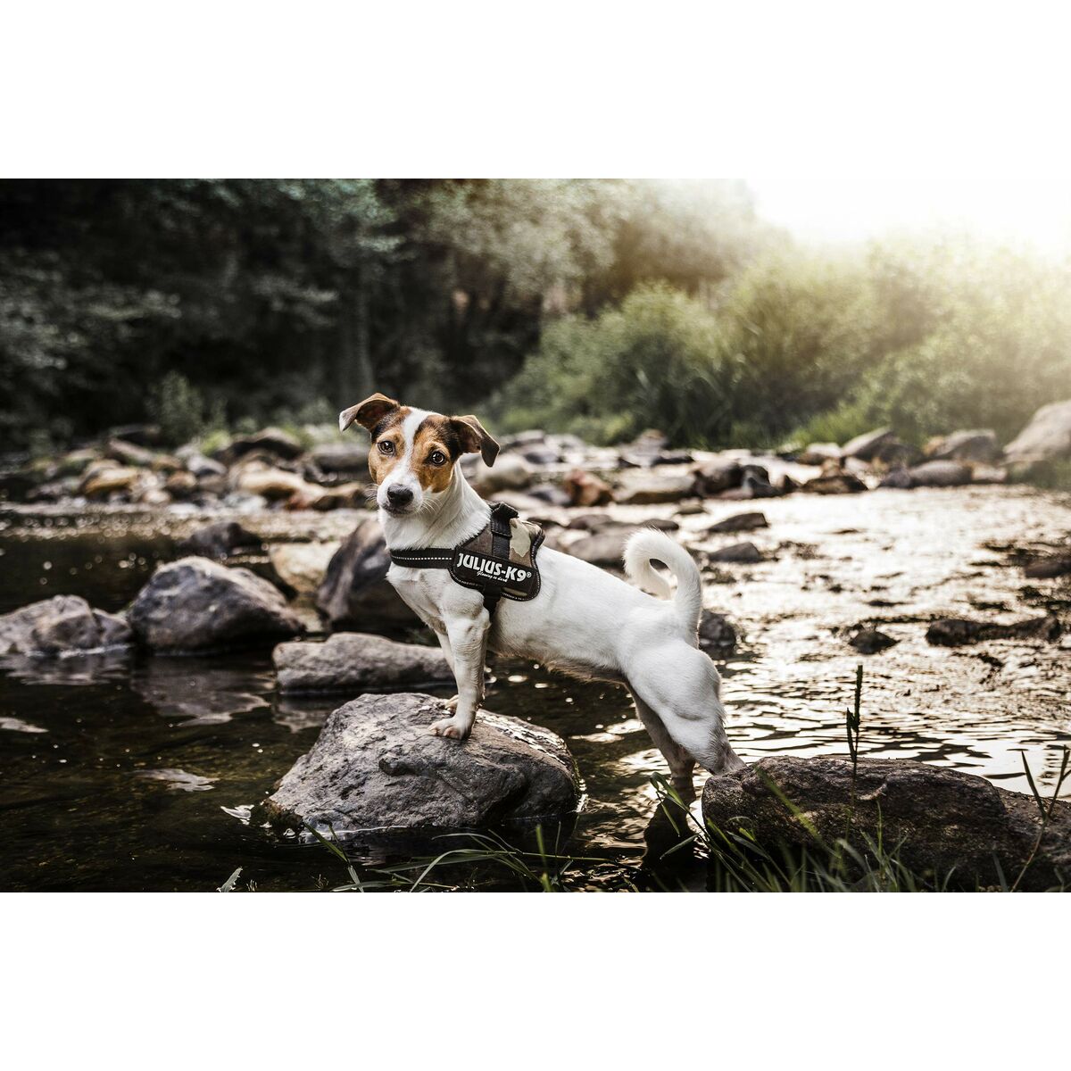 V1H42A09D1DDBEA5FF55215EB115FA29EE8RP8