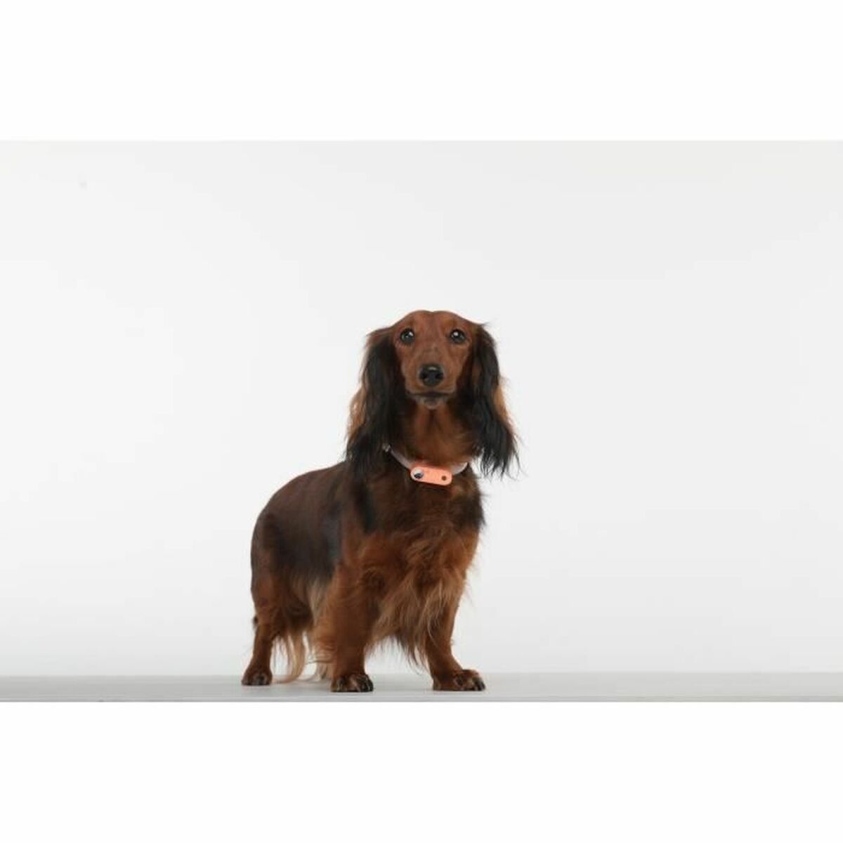 V1HF7331952161BE7BAE61A3D68CC89C75BRP6