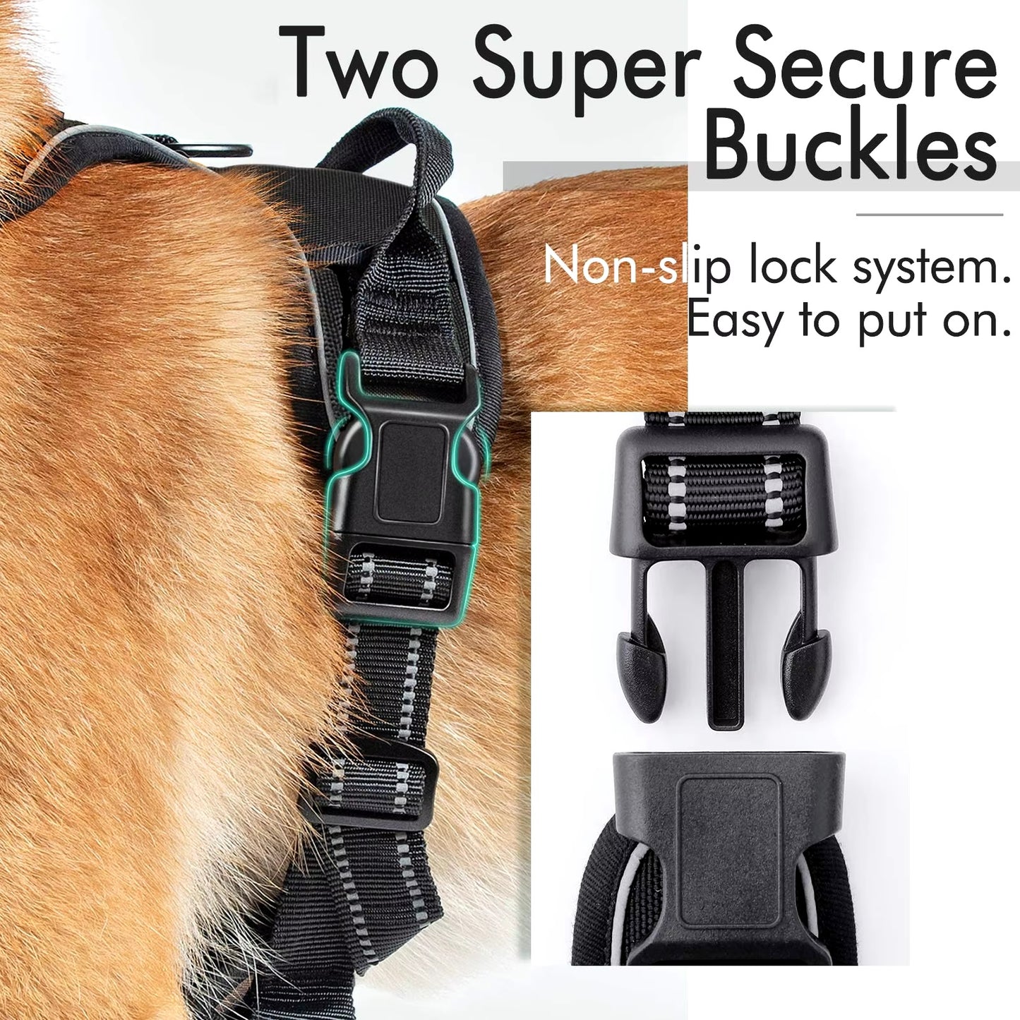 Hilma active valjaat - Koiran valjaat