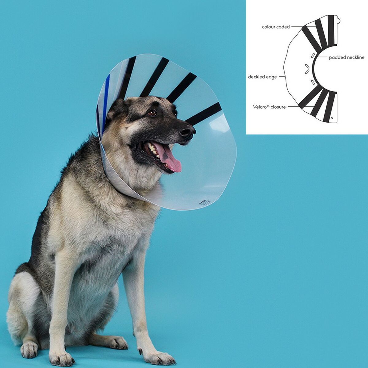 Elizabethan Dog Collar KVP EZ Clear (39-51 cm) - Hilman kauppa