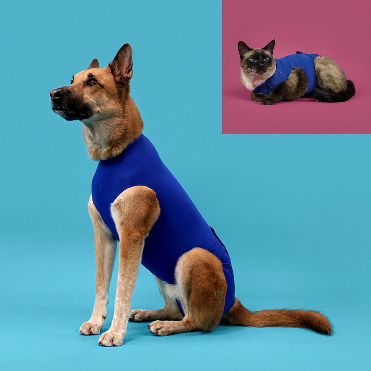 Recovery Vest for Pets KVP Blue 25-29 cm - Hilman kauppa