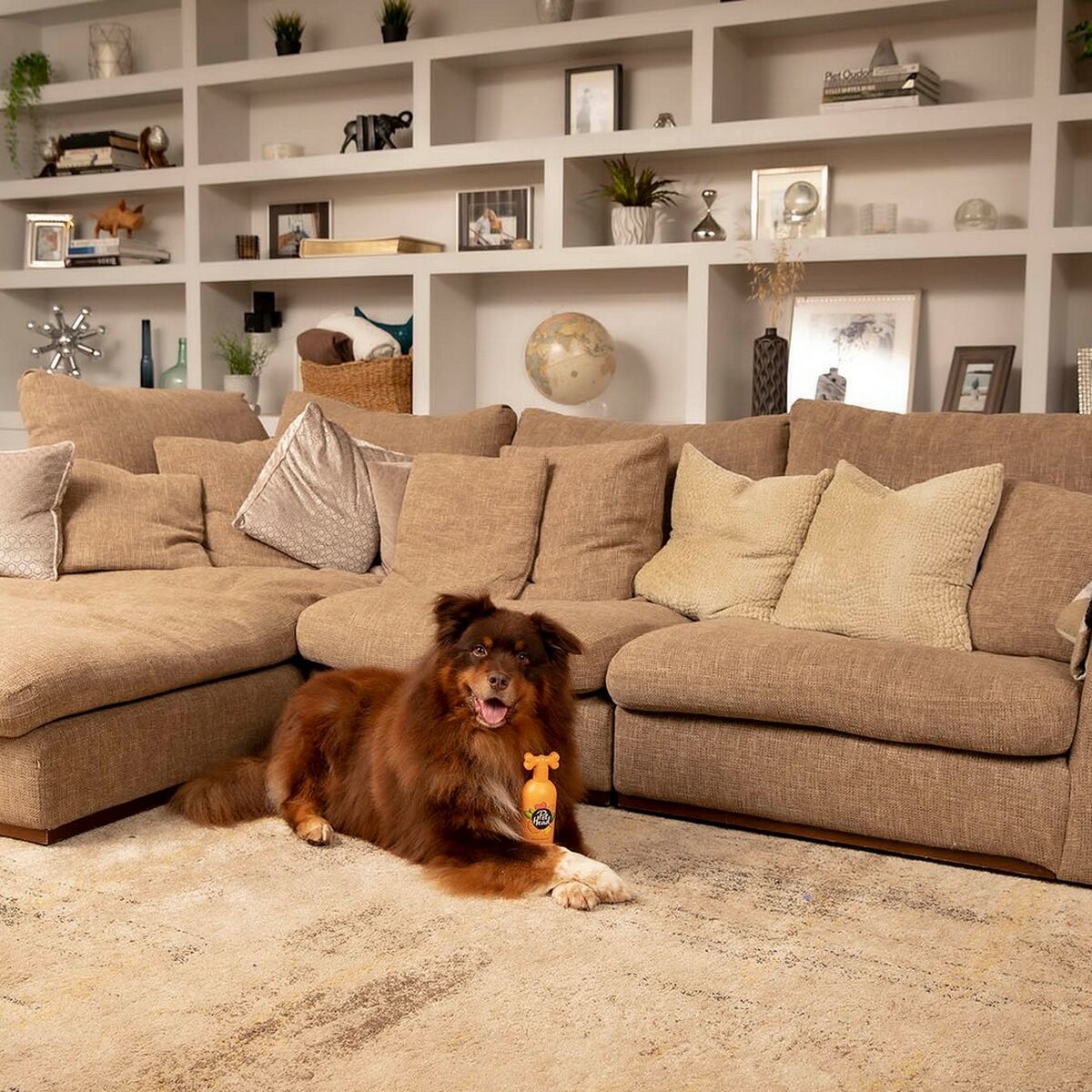 Spray Deodorant Pet Head Ditch The Dirt Orange Dog (300 ml) - Hilman kauppa