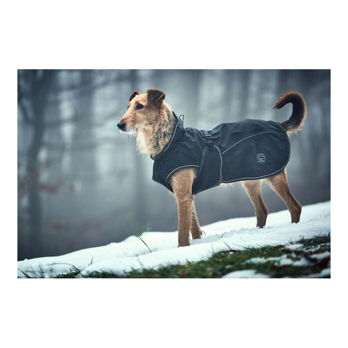 Dog Coat Norton 360 Uppsala Black 60 cm - Hilman kauppa