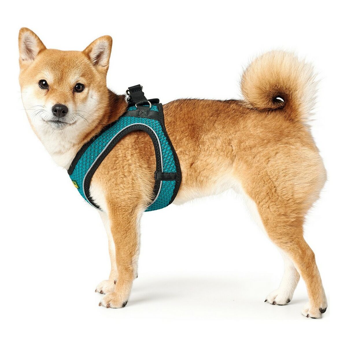 Dog Harness Hunter Hilo-Comfort Turquoise XS size (35-37 cm) - Hilman kauppa