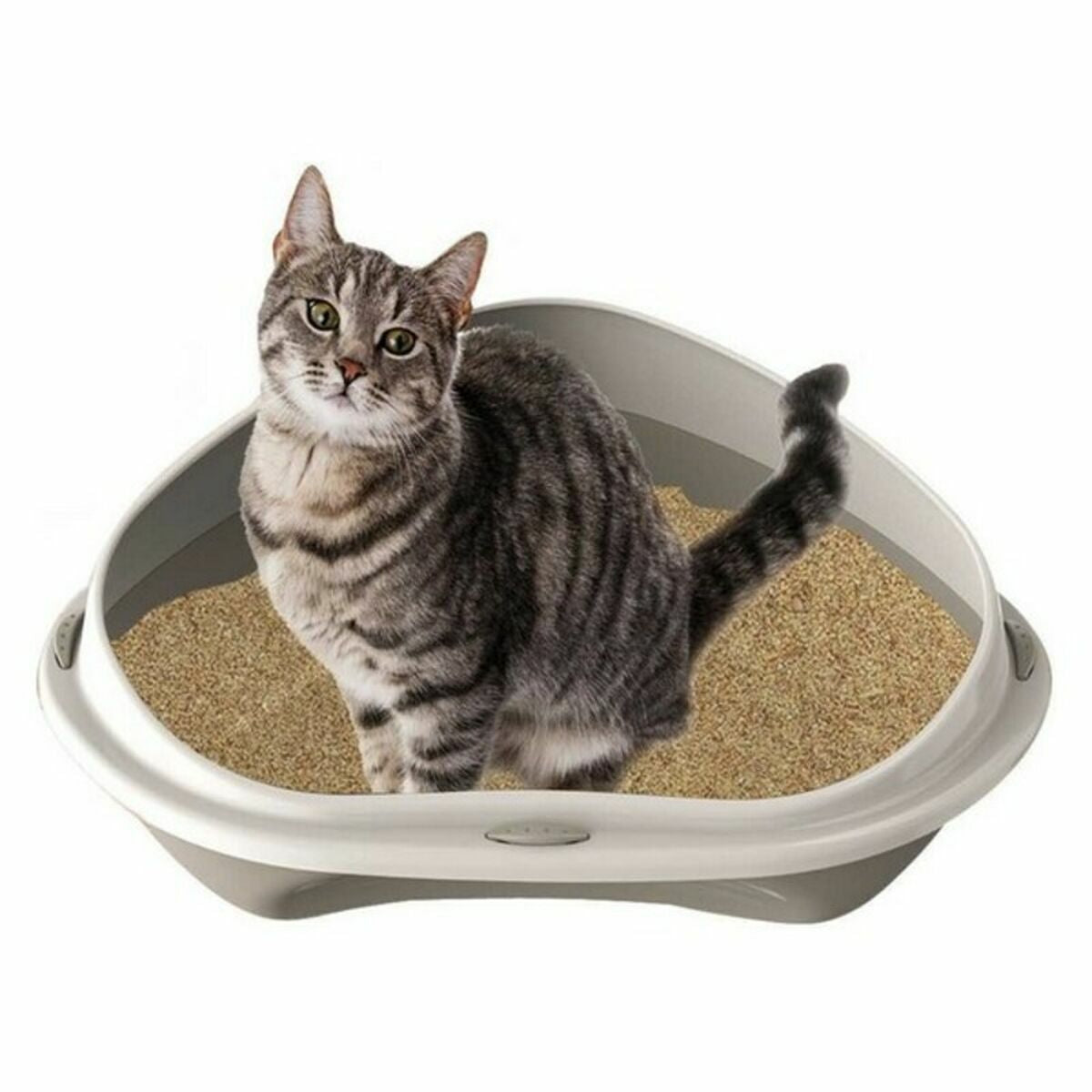Cat Litter Box Georplast GP10535 50 x 40 x 17 cm (7 Units) - Hilman kauppa