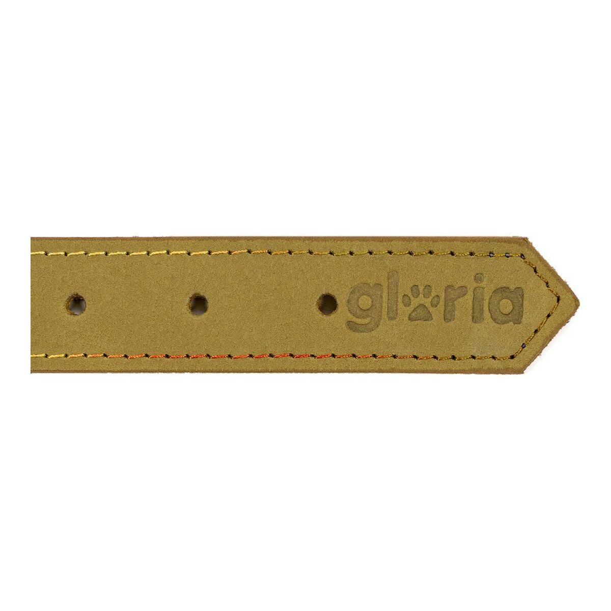 Dog collar Gloria Oasis Green (70 x 3 cm) - Hilman kauppa