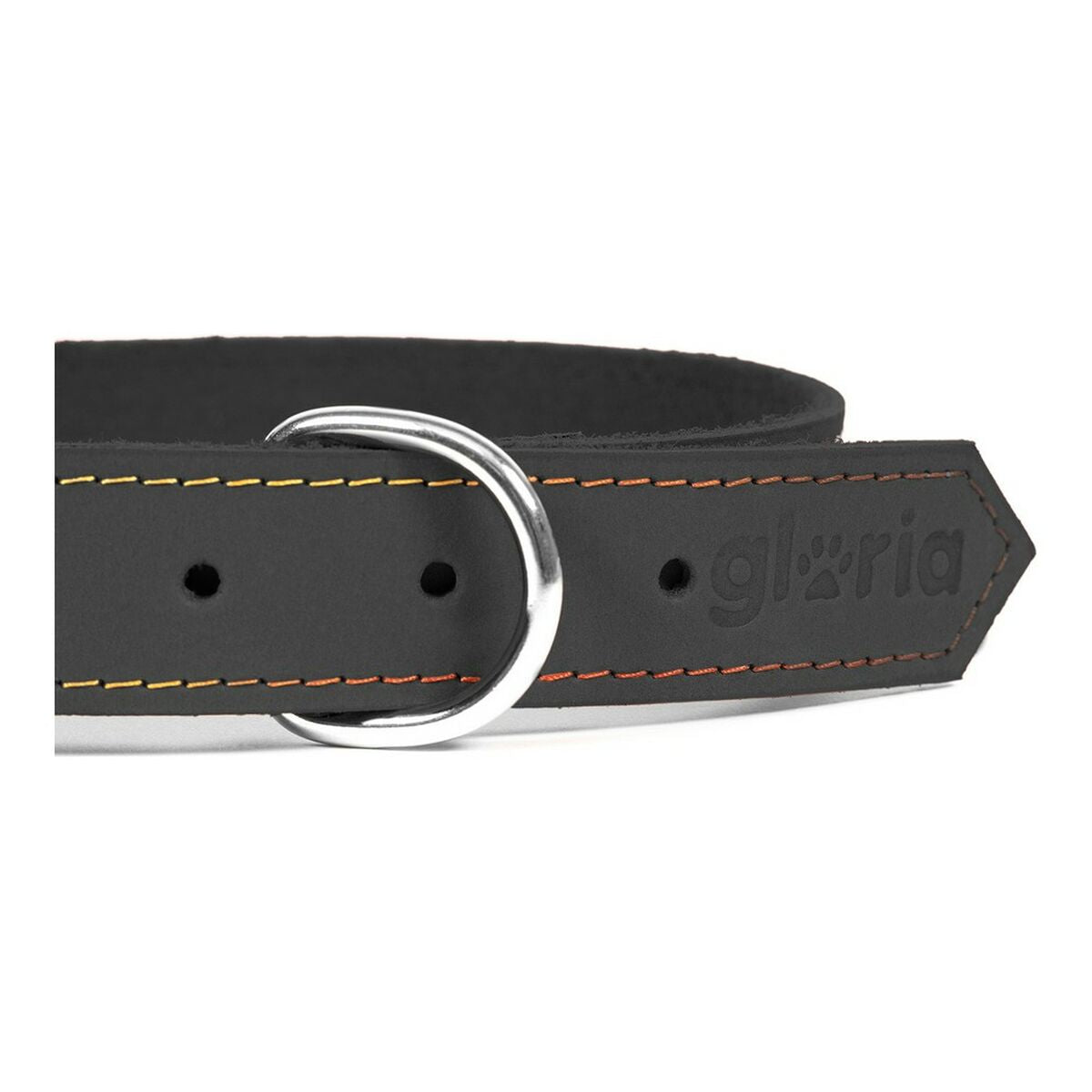 Dog collar Gloria Oasis Black (50 x 2,1 cm) - Hilman kauppa