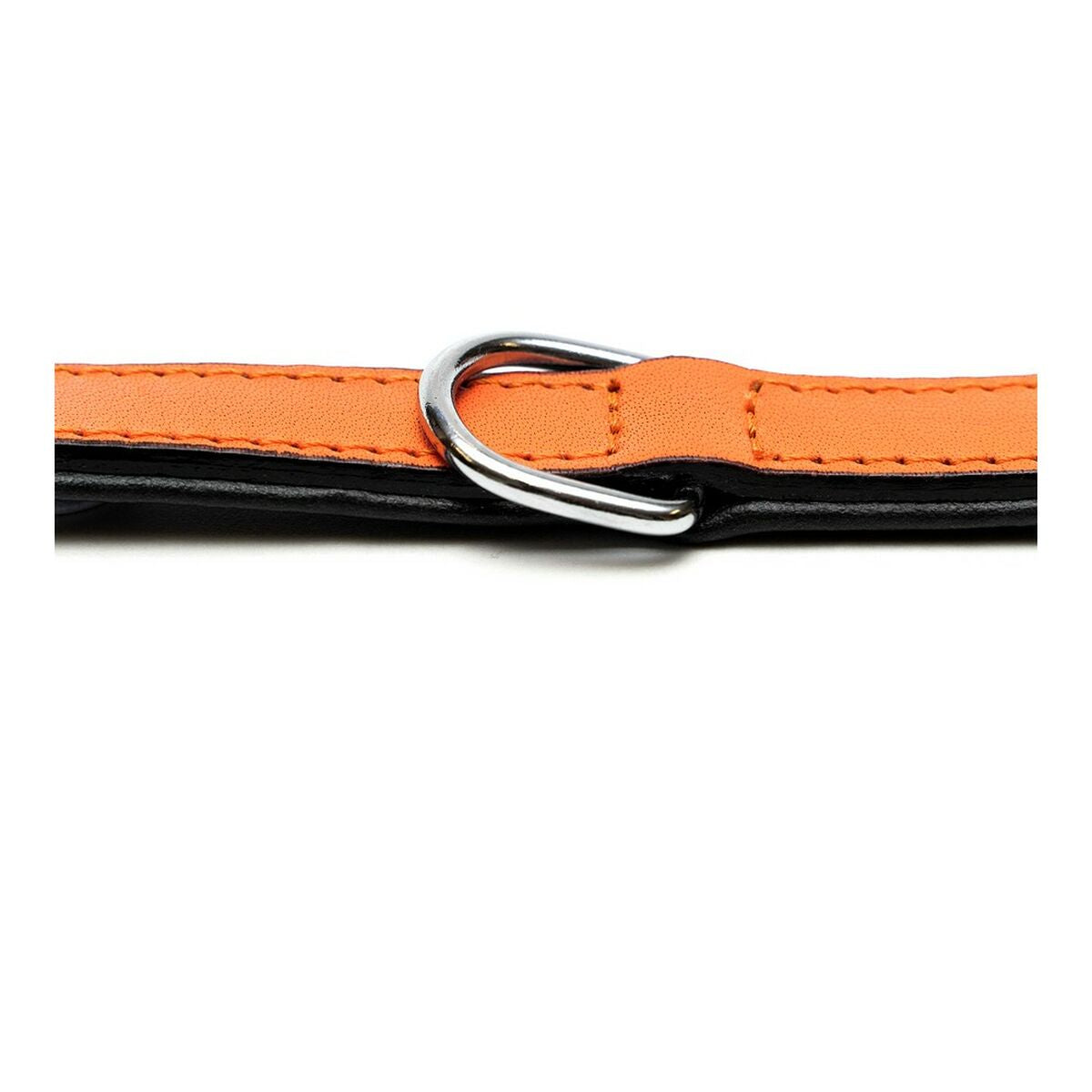 Dog collar Gloria Padded Orange (35 x 1,5 cm) - Hilman kauppa