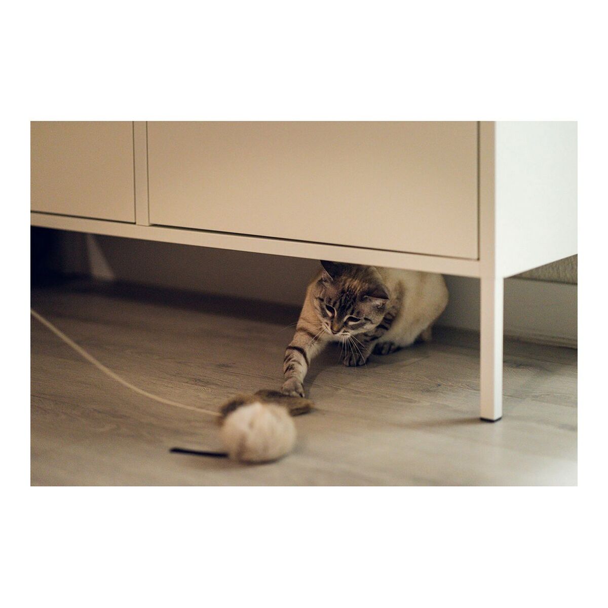 Cat toy Gloria Renzo Mouse - Hilman kauppa