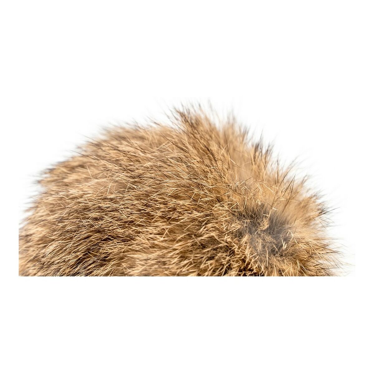 Cat wand Gloria Rogers Pompom (12 cm) - Hilman kauppa