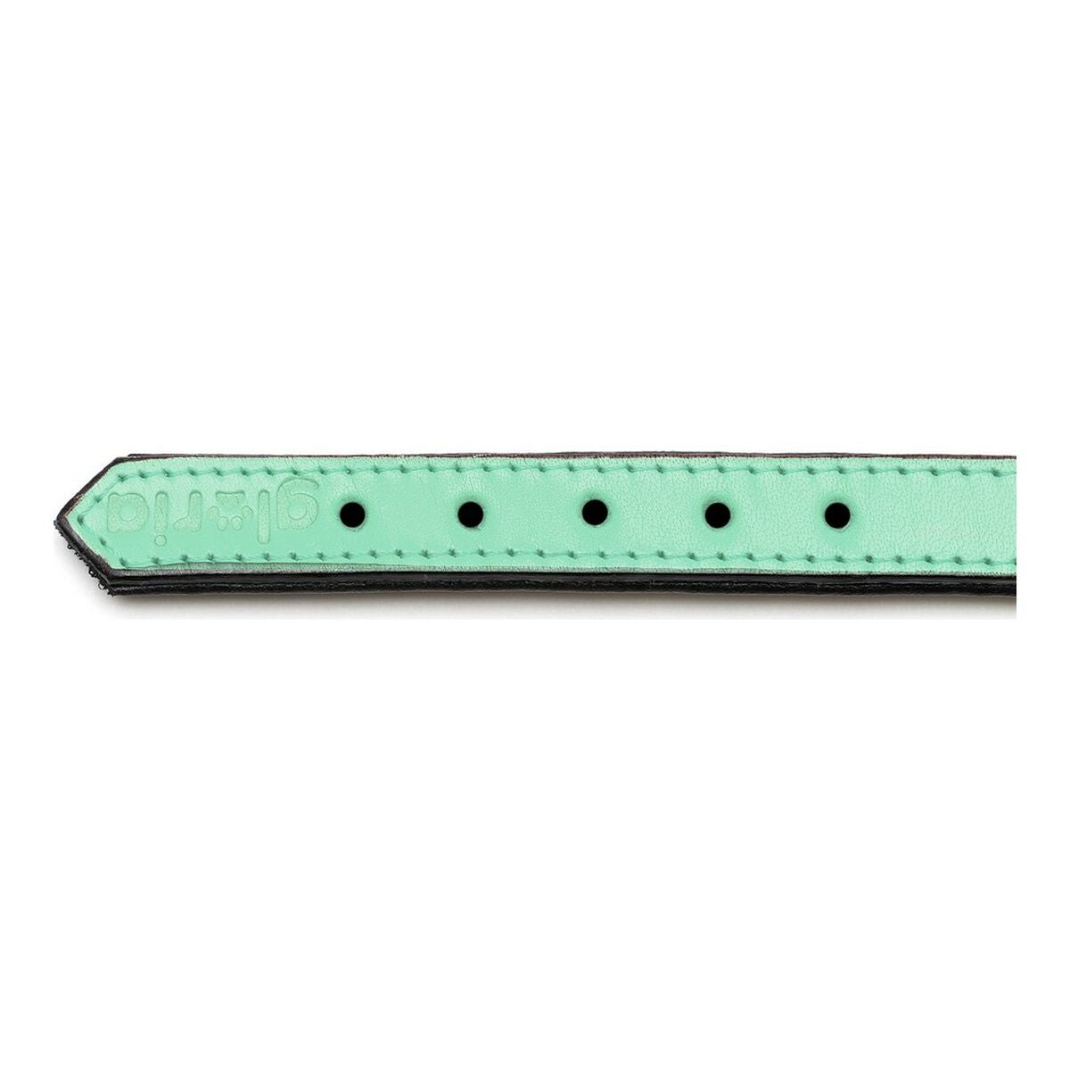 Dog collar Gloria Padded Green (35 x 1,5 cm) - Hilman kauppa