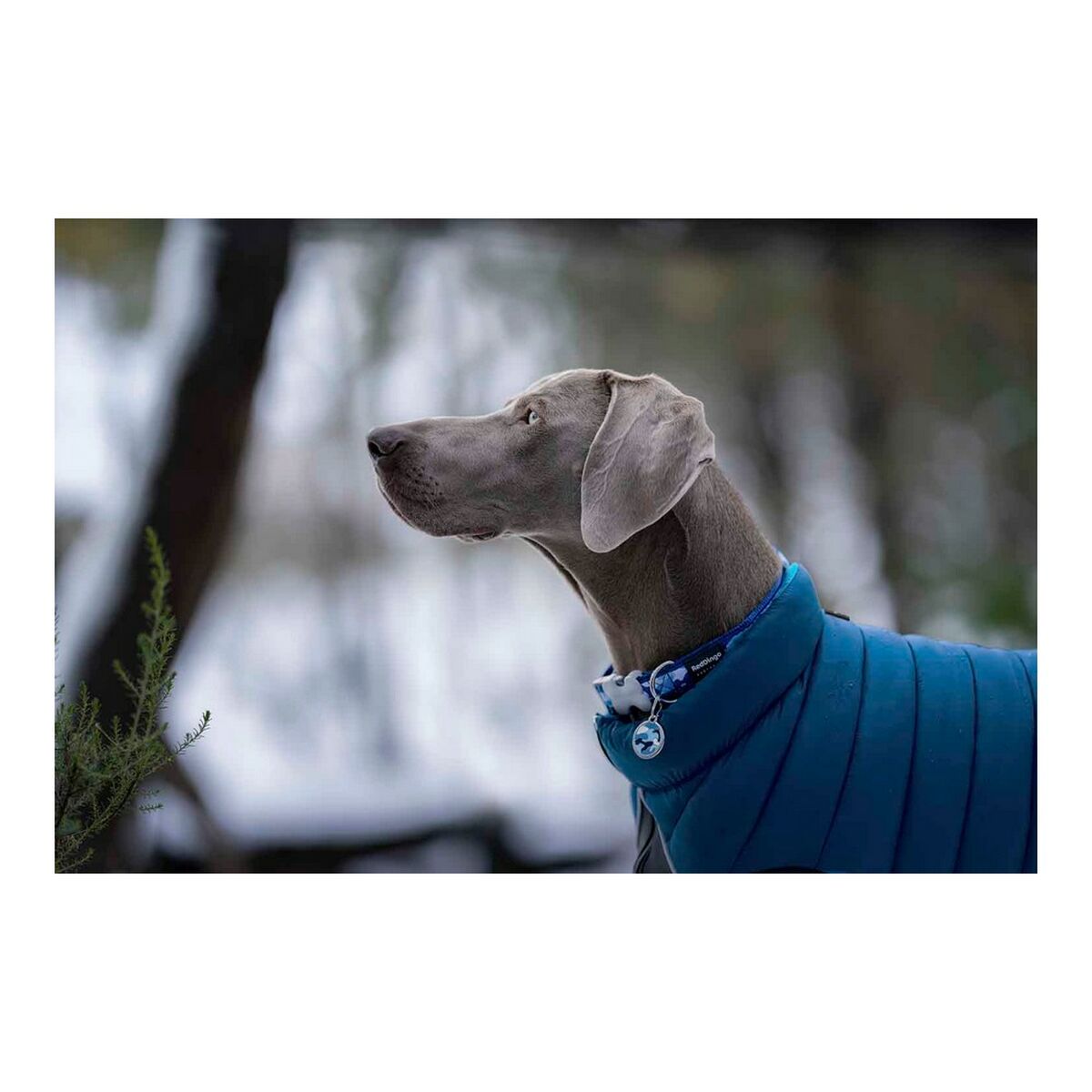 Dog Coat Red Dingo Puffer 45 cm Turquoise - Hilman kauppa