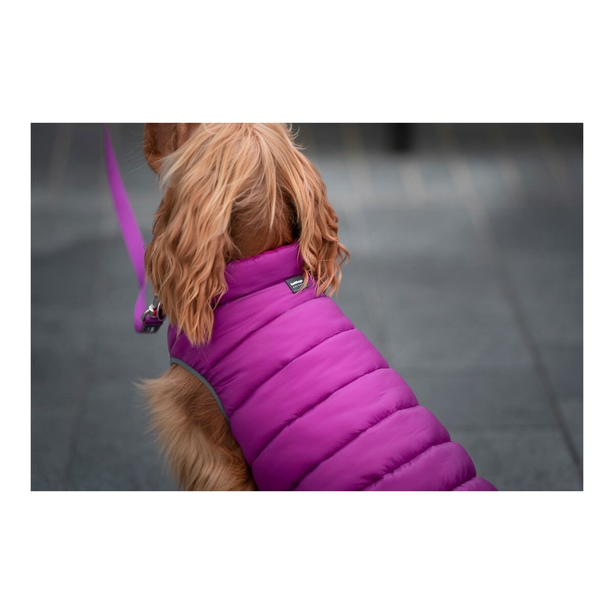 Dog Coat Red Dingo Puffer Pink/Purple 35 cm - Hilman kauppa
