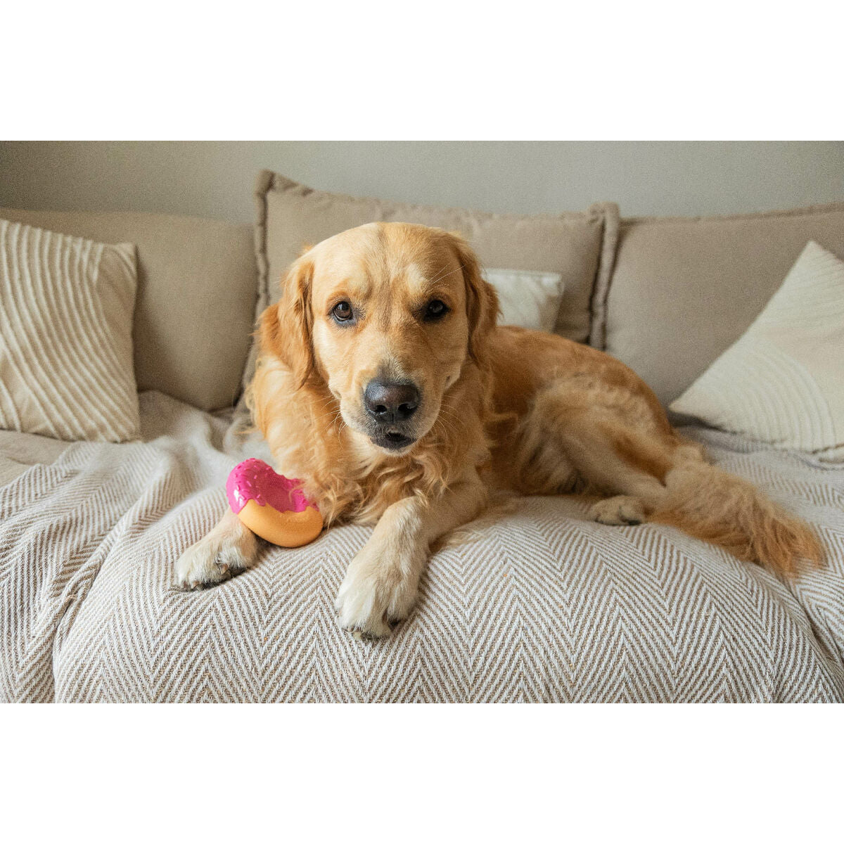 V1H24BED2E2F12AB39484D5EFEED01BD7A6RP4