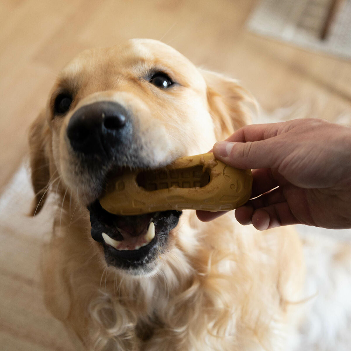 V1H0F8A1F486AE976C44FD960E005CC90ABRP3