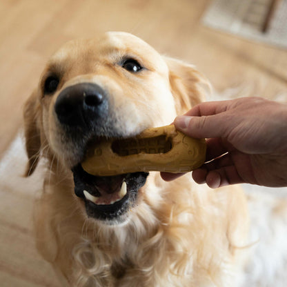 V1H0F8A1F486AE976C44FD960E005CC90ABRP3