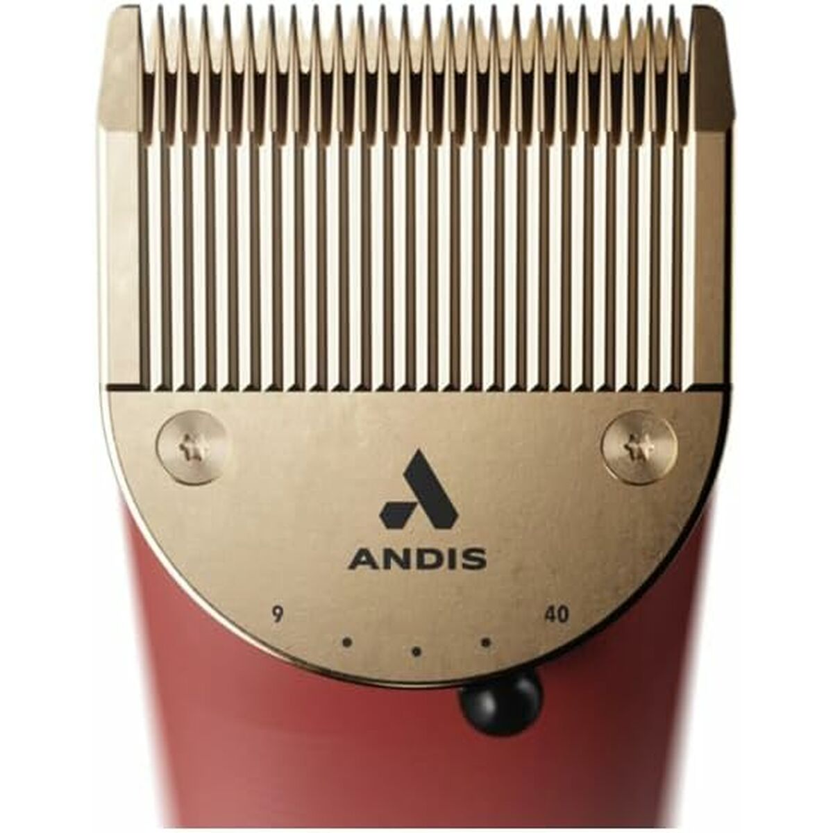 V2H555DAE5ED894C21A1784297EC252687ER6360384P5