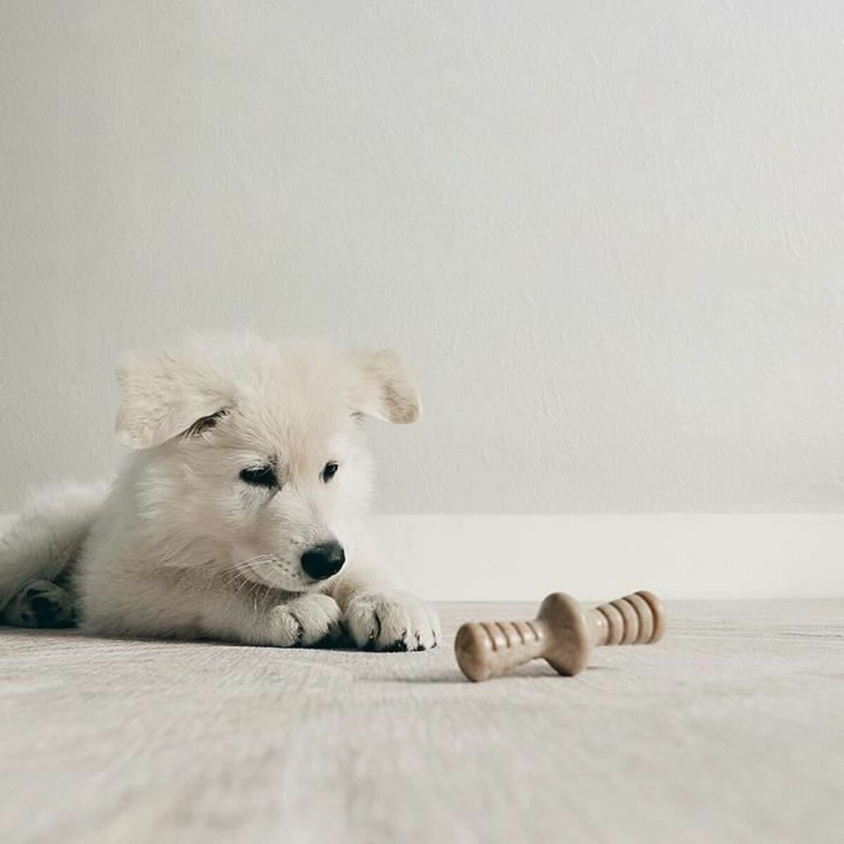 Dog chewing toy Benebone Brown animals - Hilman kauppa