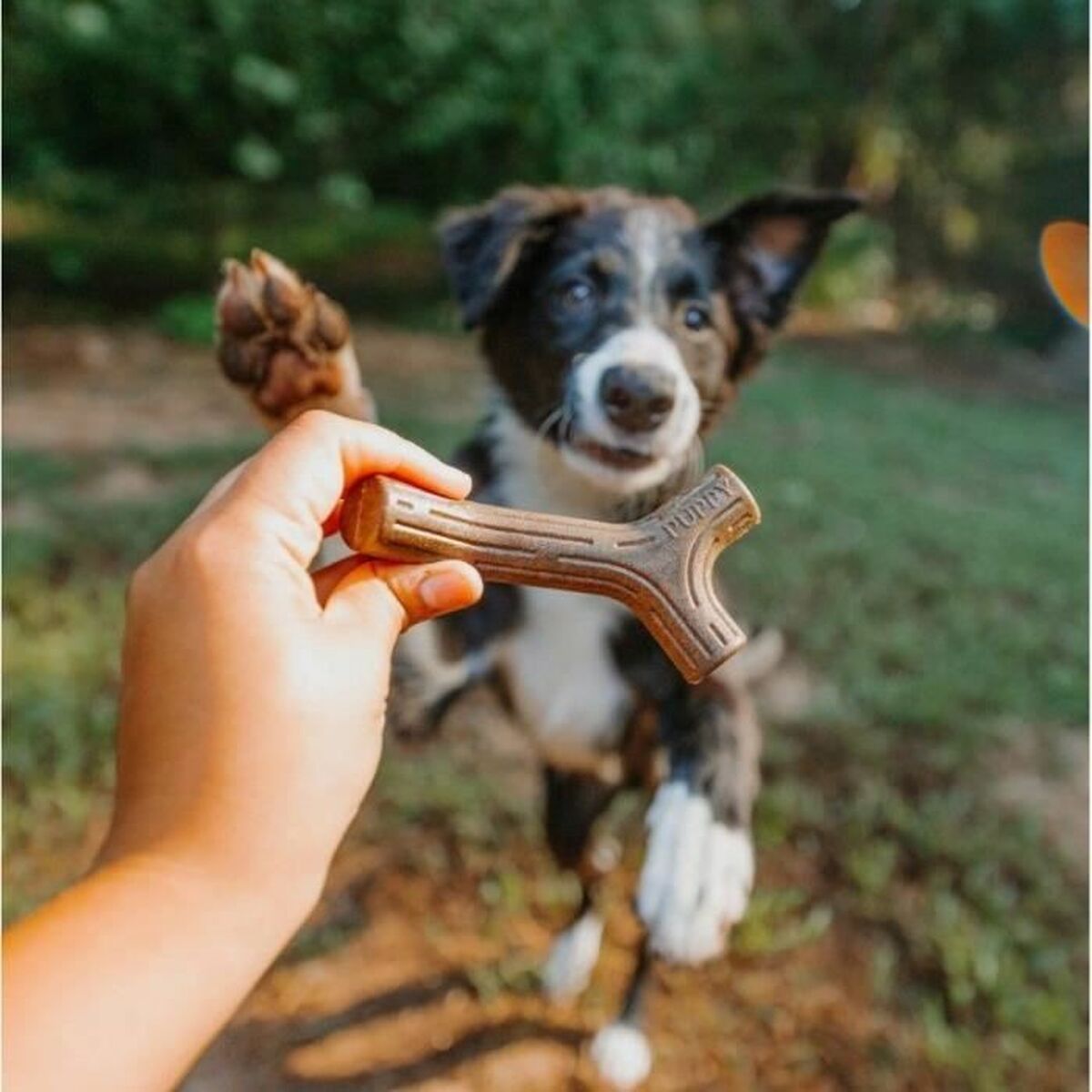 Dog chewing toy Benebone Brown animals - Hilman kauppa