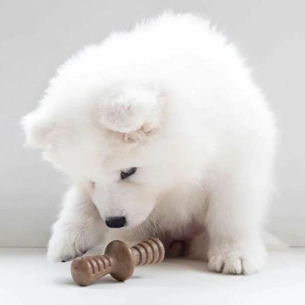 Dog chewing toy Benebone Brown animals - Hilman kauppa