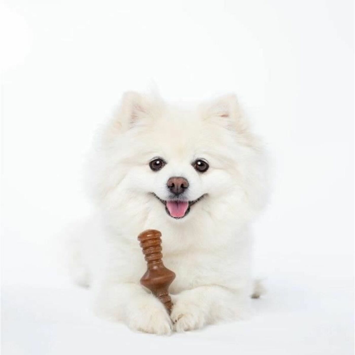 Dog chewing toy Benebone Brown animals - Hilman kauppa