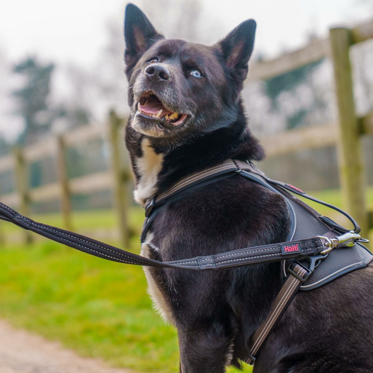 V2H5C27E1BEAE13550551A88DC1D5F2D546R7240227P3