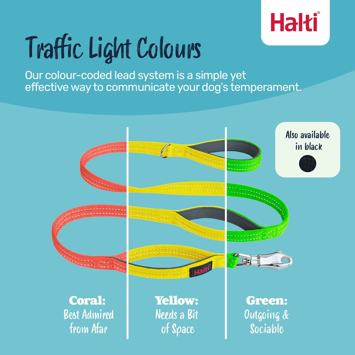 V2H4934842F1DDD7964F9A4DCA65F72EA92R7240230P6