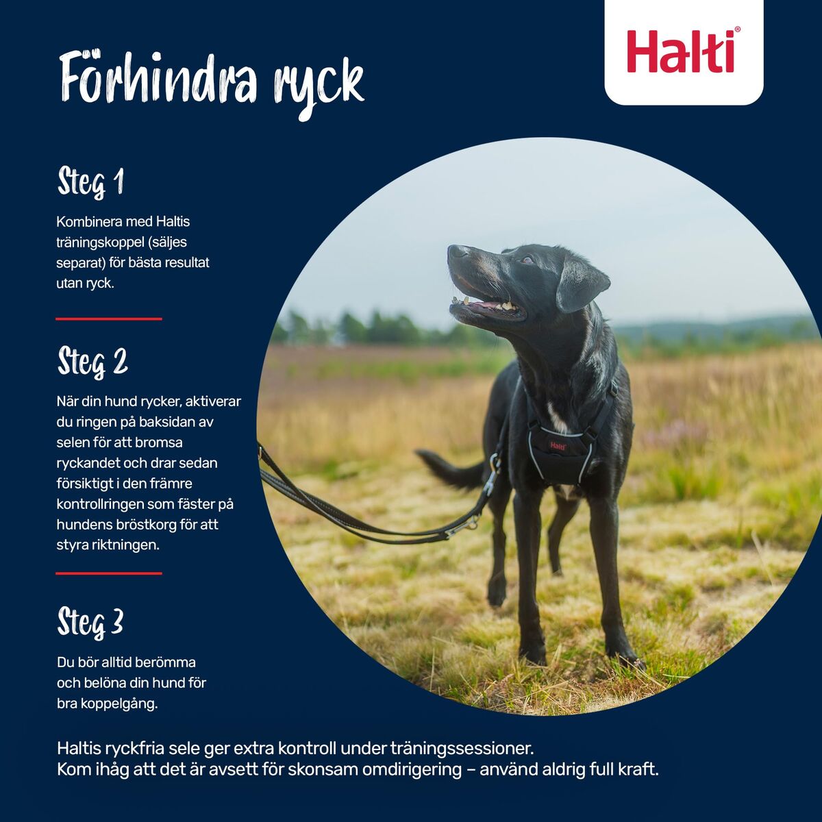 V2H6A7C4B86E76C0AB1A7C82F14E90755E9R7523829P4