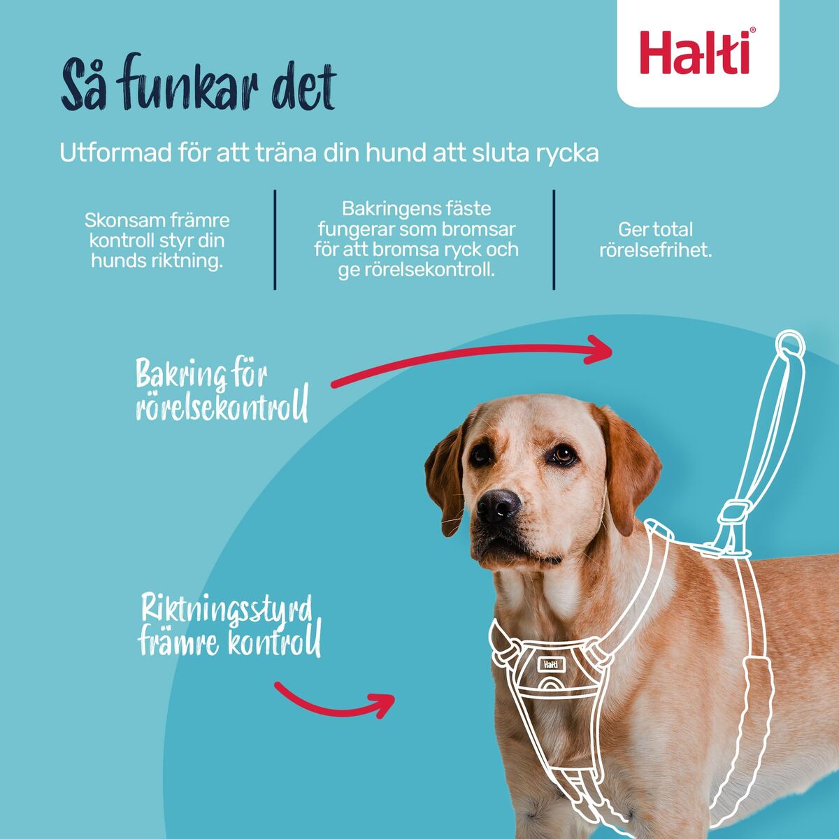 V2H1FDD8BD5C38BD564A1BF1B488A1B05F2R7523522P2