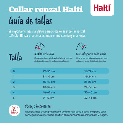 V2H5D461AE33C7E33BB95B0D787FA46EF05R7523946P2