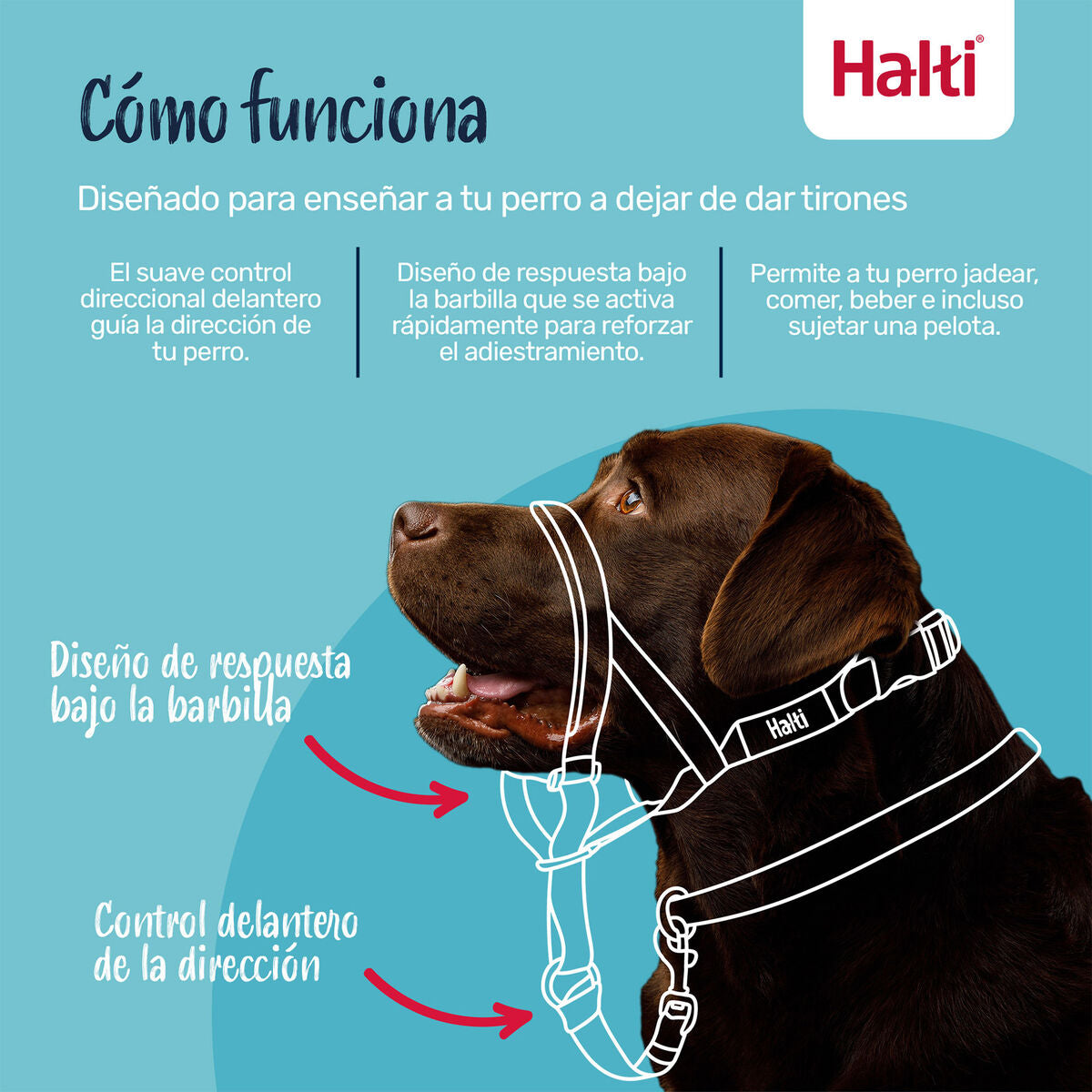 V2HB398BB278016C315CABDFA9C8B4CDA8AR7523895P4