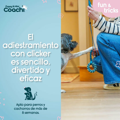 V2H9AFDCAE588008D268F8F8DC3FBFE51C5R5717576P4