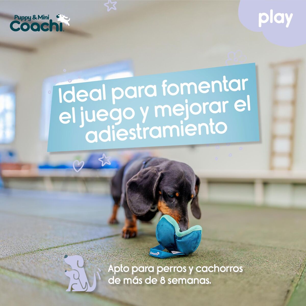 V2H0B30403086E2FE62CAE01408F216ED84R5717682P4