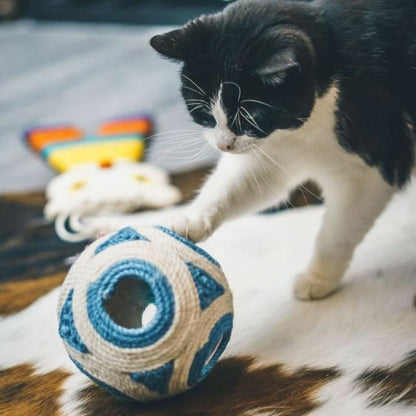 V1H1FEBD3FB2FED6C080605FFD36384F580RP3