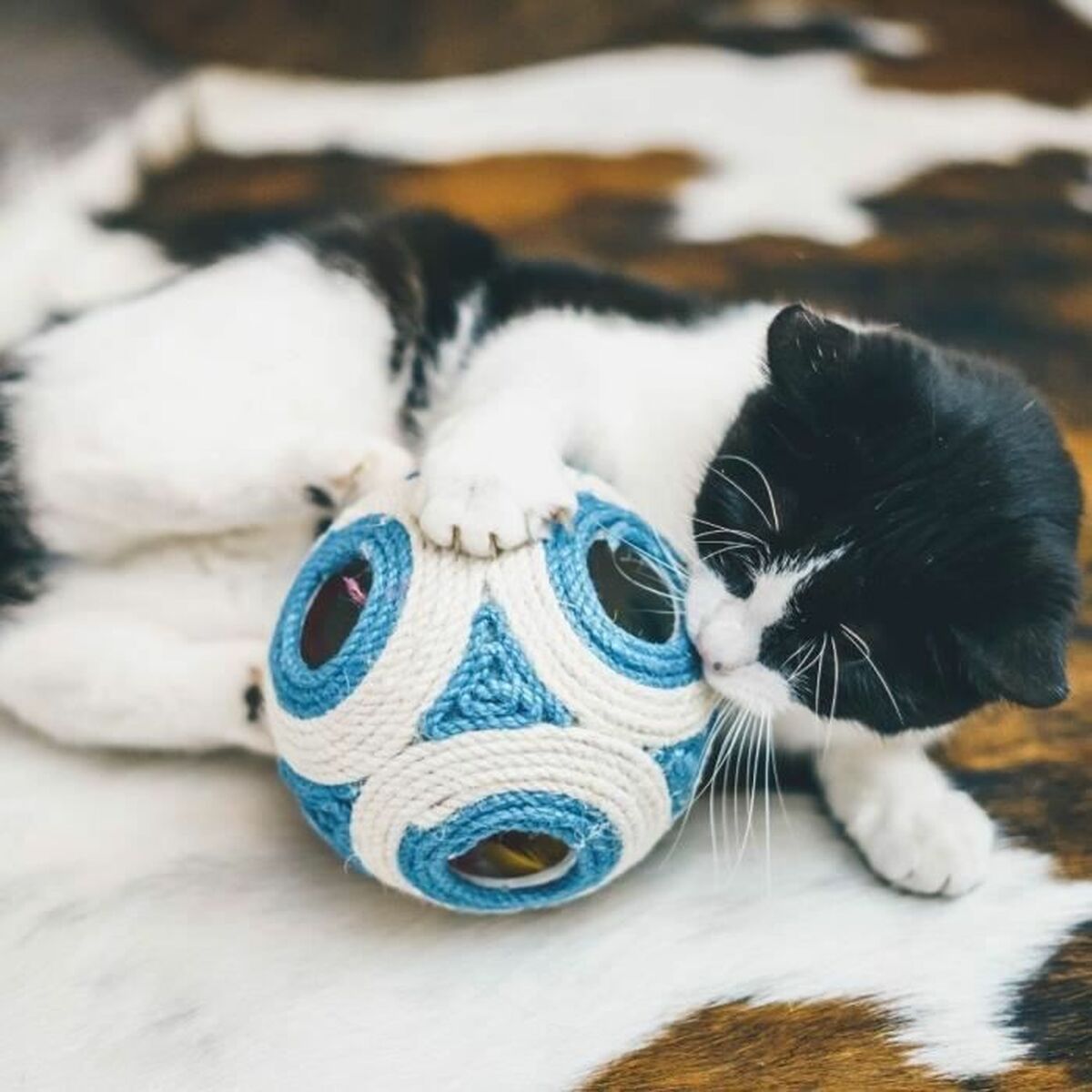 V1H6475D2C99E3C91DB86B566A50BC6C0C7RP4