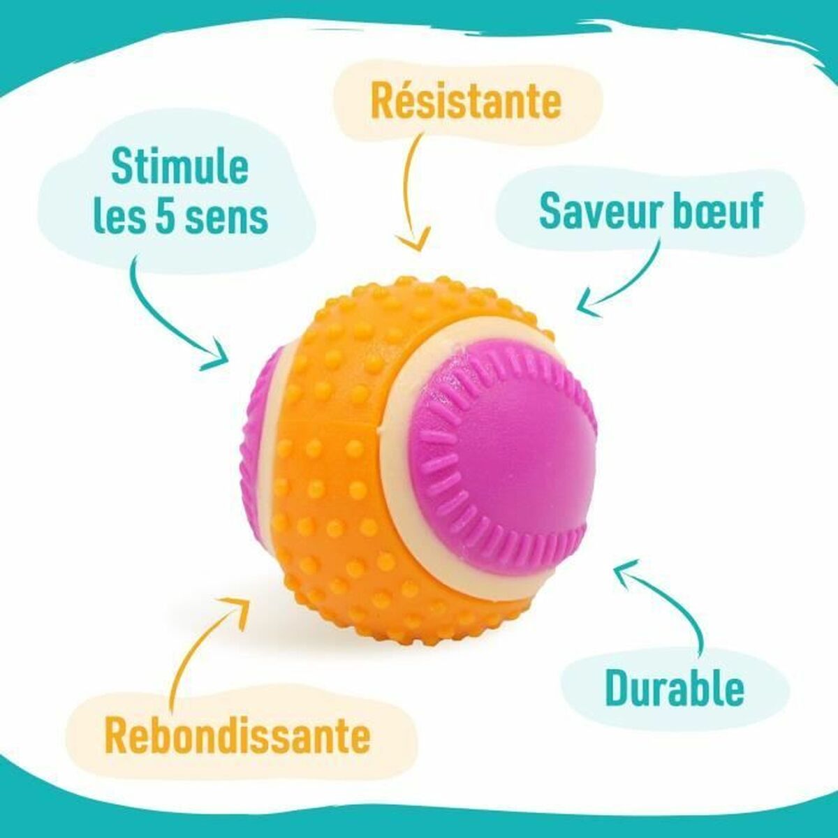 V1H52E49694DE71FC70078B637198E4E48ARP4