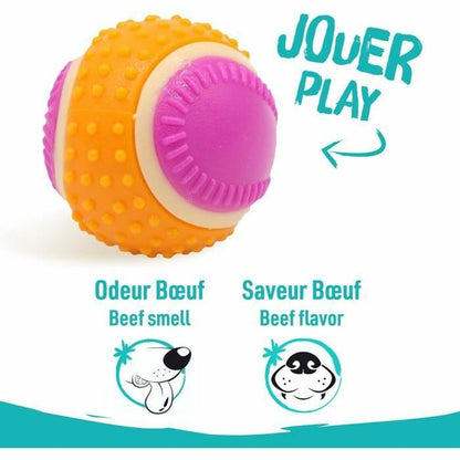 V1H07439EC0AC256A3B6D0121D3E51F8F69RP5