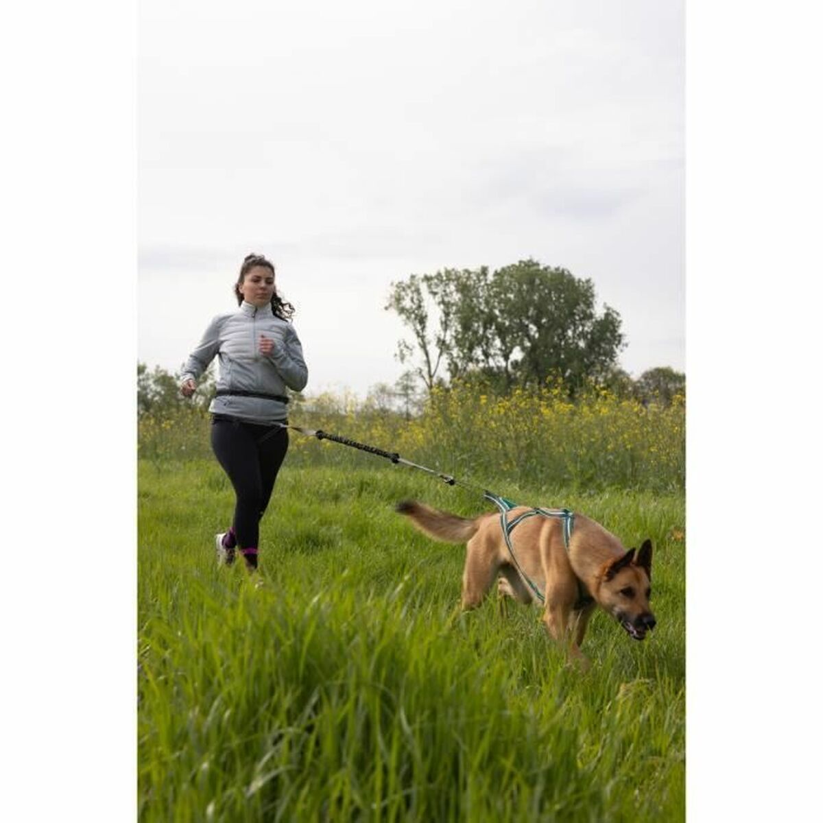 V2H23F160B74AB8FBC96198FCA38FC3508BR5776750P6