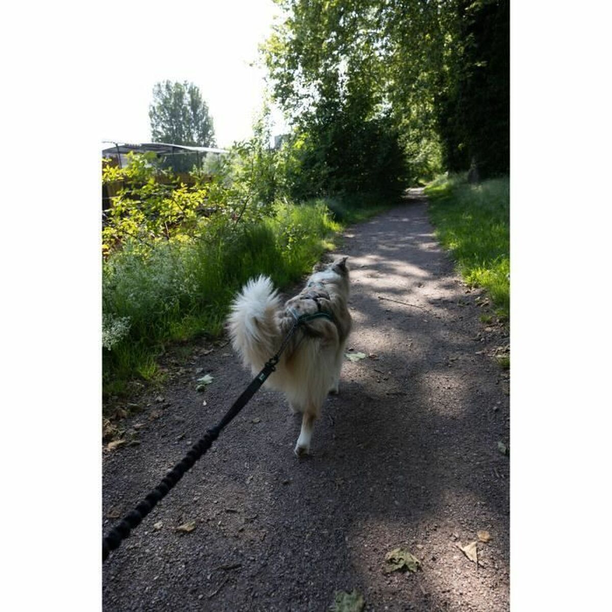 V2HAC201CA275B884074A5ABF343A8DEF0DR5776740P4