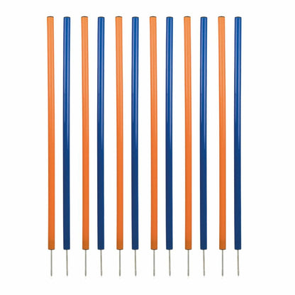 V1H4AF0CF6823ED3CE3B2DD6283A1E88683RP1