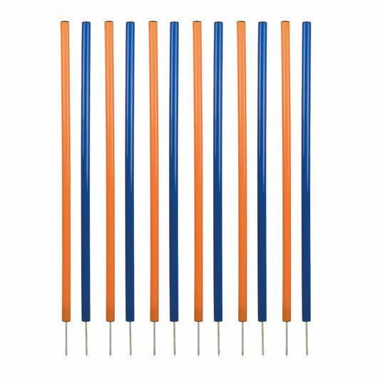 V1H4AF0CF6823ED3CE3B2DD6283A1E88683RP1