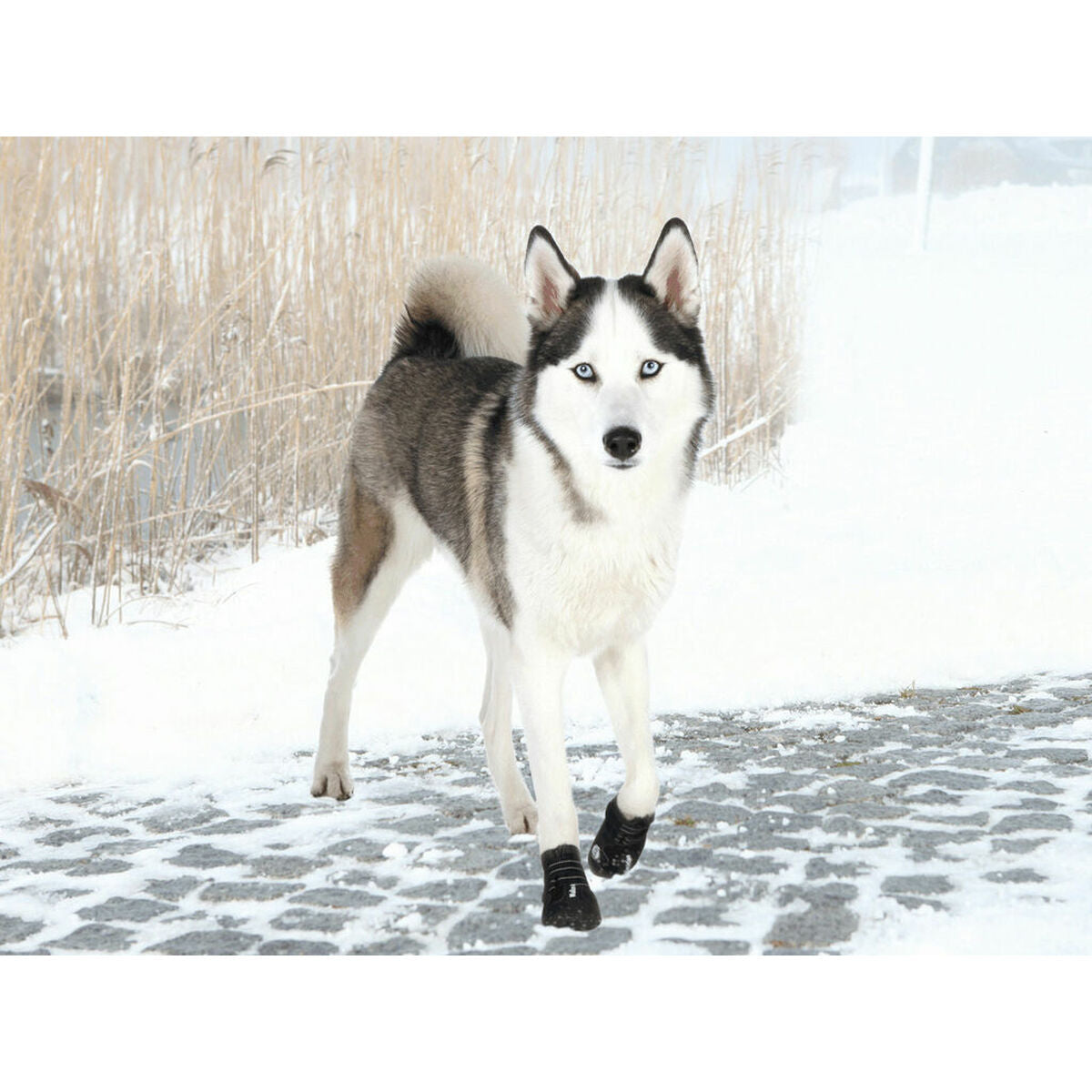 V2HEC746957F4BB077B8EF9F1D6762BA3EBR5073468P3