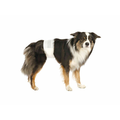 V1H37A49B8C15E845C5D6AFB6EC07834B3ARP3