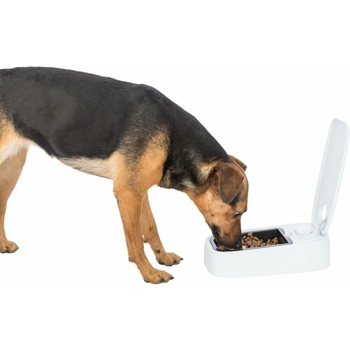 V1HEC86605A09F6082D40B3DE98E419A571RP9