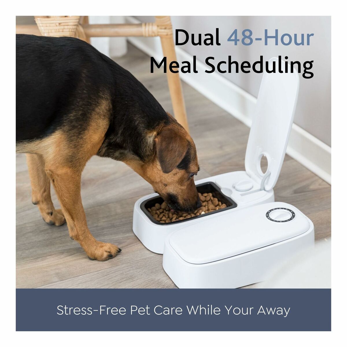 V1H55924EA438317A61C4175FEFFFE3A7A1RP6