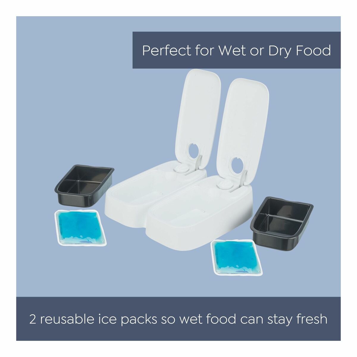 V1H6AEB9AE851431FB69D2CC085DA4792E7RP7